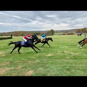 Meet your Posher, Olvid